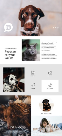 Уход За Домашними И Животными – Адаптивный Шаблон HTML5