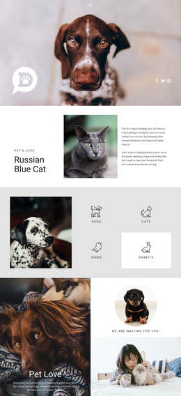 Care For Pets And Animals - Website Templates