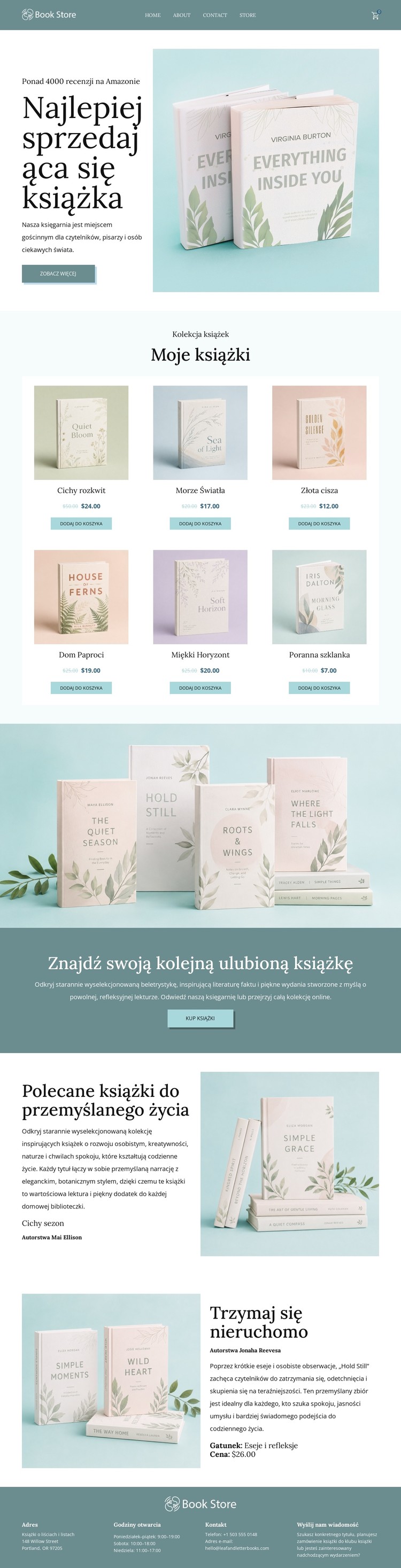 Niezależny sklep internetowy z książkami Szablon CSS