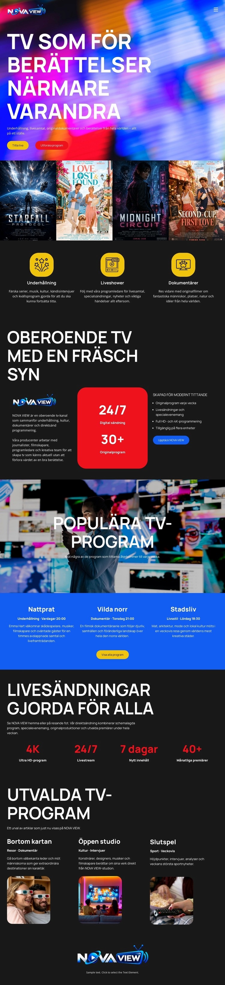 Modern TV-kanal Webbplats mall