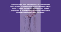 Skutečný Obchodní Příběh - Plně Responzivní Šablona