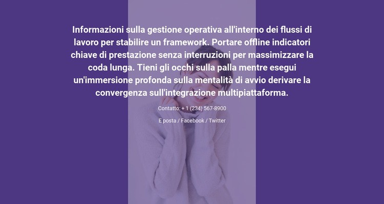 Vera storia di affari Modello CSS