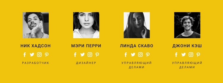 Познакомьтесь с нашей командой WordPress тема