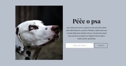 Péče O Psa – Drag & Drop Téma WordPress