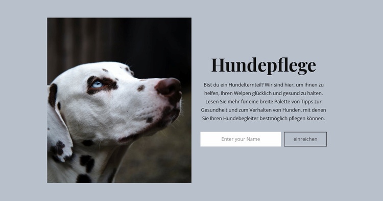 Hundepflege Website-Modell