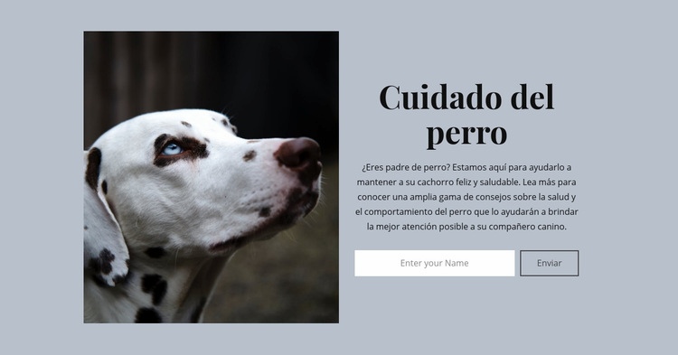 Cuidado del perro Maqueta de sitio web