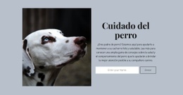 Plantilla De Una Página Más Creativa Para Cuidado Del Perro