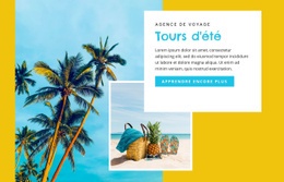 Conception De Sites Web Polyvalents Pour Lagon De Bora Bora