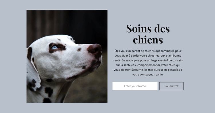 Soins du chien Créateur de site Web HTML