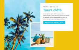 Lagon De Bora Bora - Modèle De Site Web Professionnel