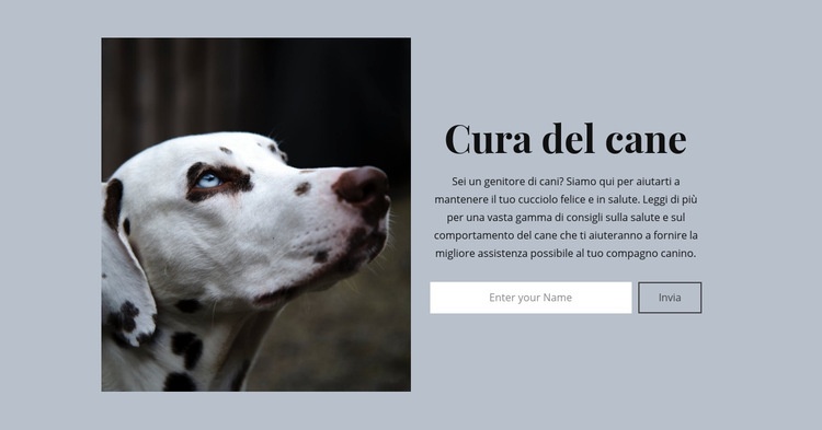 Cura del cane Costruttore di siti web HTML
