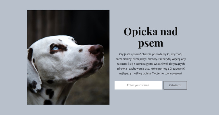 Opieka nad psem Motyw WordPress