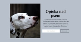 Oszałamiający Projekt Strony Internetowej Dla Opieka Nad Psem