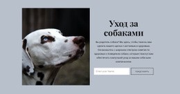 Уход За Собакой CSS Шаблон