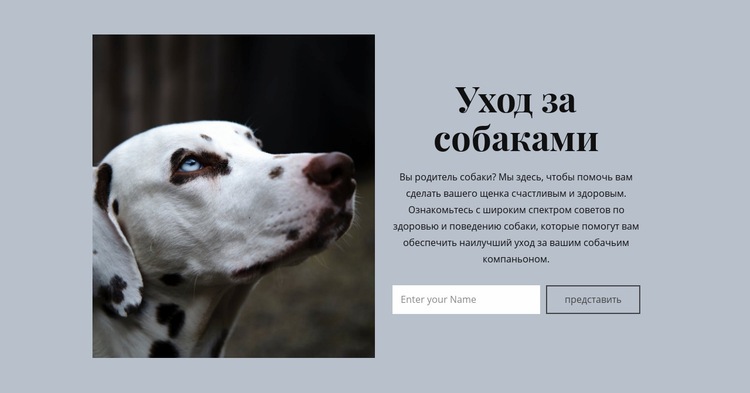 Уход за собакой Мокап веб-сайта