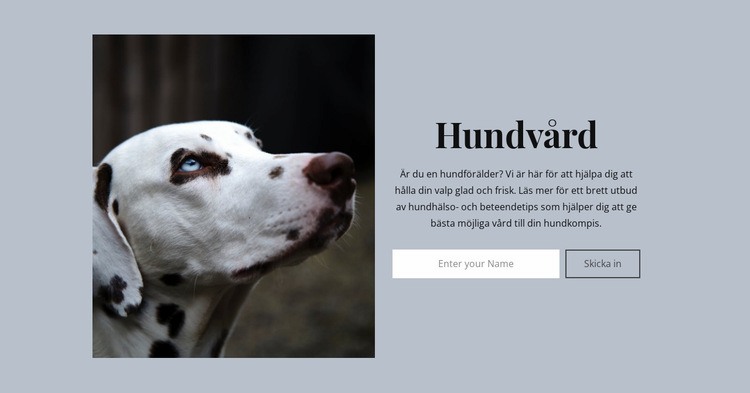 Hundvård HTML-mall