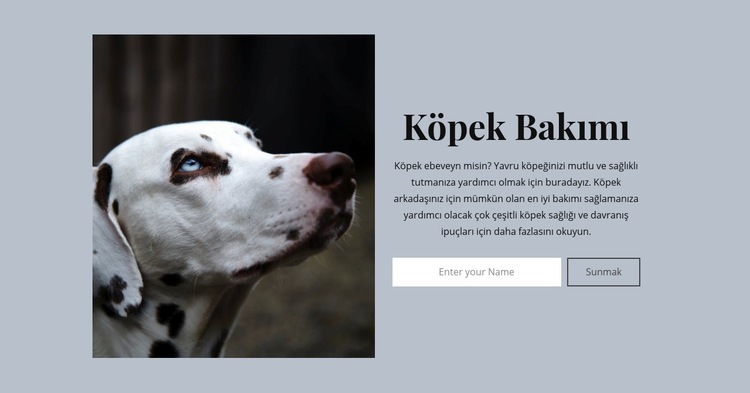 Köpek bakımı Web Sitesi Mockup'ı