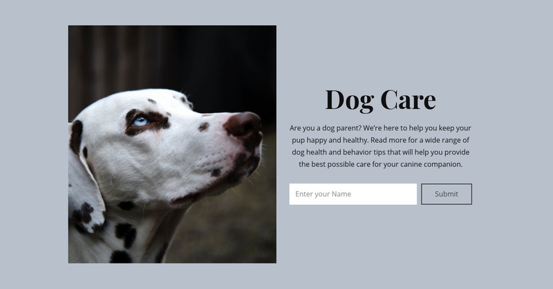 Dog care Web Page Design