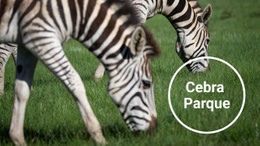 Mejor Diseño De Página De Destino Para Parque Nacional Zebra