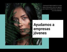 Ayudar A Las Empresas Jóvenes - Creador Del Sitio Web