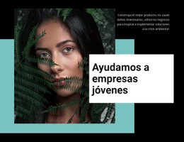 Ayudar A Las Empresas Jóvenes Plantilla CSS Gratuita