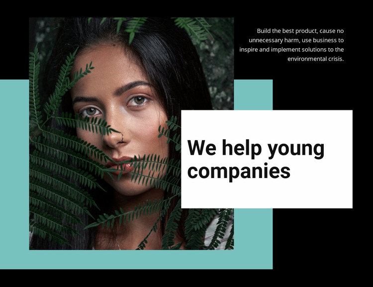 Help young companies Website Mockup