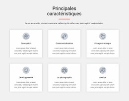 Principales Caractéristiques - Maquette De Site Web Professionnel