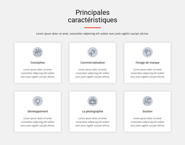 Principales Caractéristiques - Modèle De Page De Destination