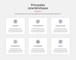 Principales Caractéristiques - Page De Destination À Conversion Élevée