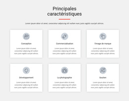 Principales Caractéristiques - Thème WordPress Réactif