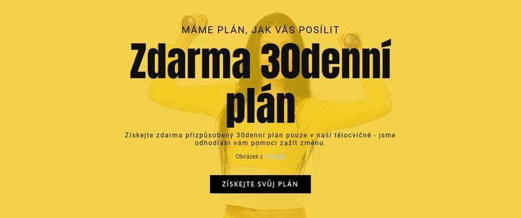 Zdarma 30denní plán Šablona CSS