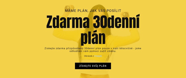 Zdarma 30denní plán Šablona webové stránky