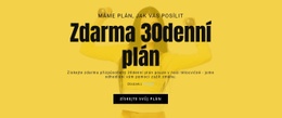 Zdarma 30denní Plán – Šablona WordPress