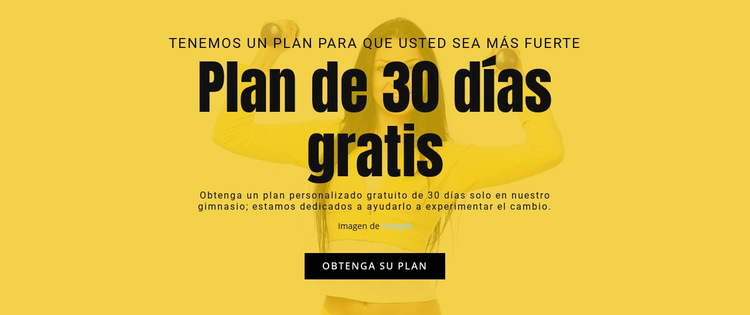 Plan gratuito de 30 días Plantilla de sitio web