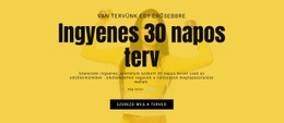 Ingyenes 30 Napos Terv – WordPress Sablon