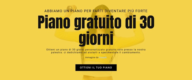 Piano gratuito di 30 giorni Modello CSS