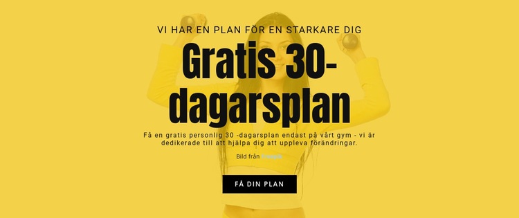 Gratis 30 -dagars plan CSS -mall