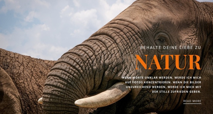  Afrikanischer Elefant HTML5-Vorlage