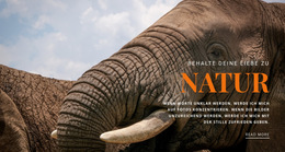 Benutzerdefinierte Schriftarten, Farben Und Grafiken Für Afrikanischer Elefant