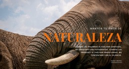 Elefante Africano: Plantilla De Arranque De Una Página