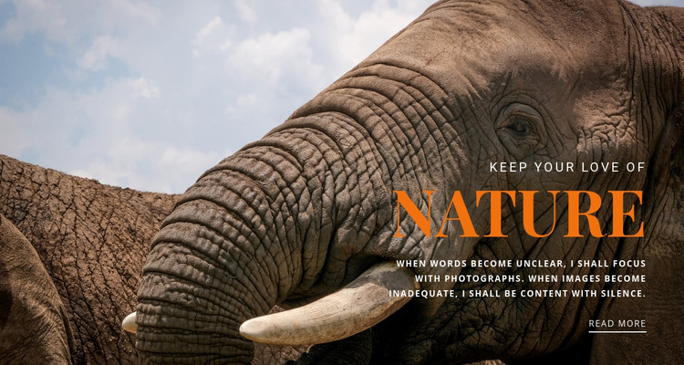  African elephant Homepage Design