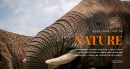 Exclusive Html Code For African Elephant
