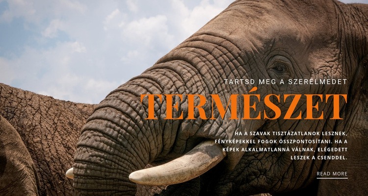  Afrikai elefánt HTML Sablon
