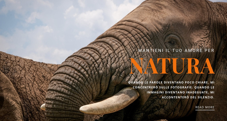  elefante africano Modello di sito Web