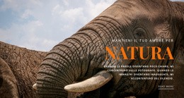 Elefante Africano - Pagina Di Destinazione Pronta Per L'Uso