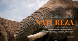 Site HTML Para Elefante Africano