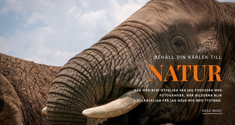  afrikansk elefant HTML-mall