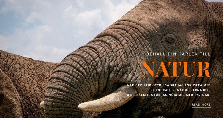  afrikansk elefant Webbplats mall