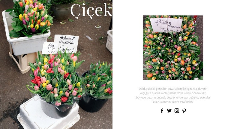 Çiçek sanatı ve tasarımı Web Sitesi Oluşturucu Şablonları