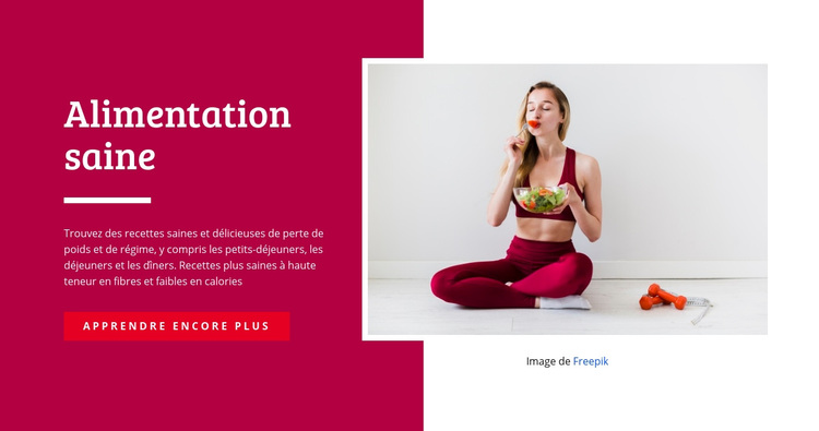 Aide alimentaire Thème WordPress